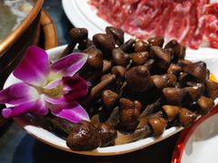 -南门四季铜锅涮肉(左家庄店)
