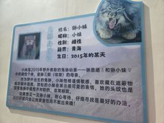 -青藏高原野生动物园