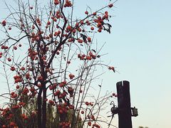 -五进制 Coffee Shop