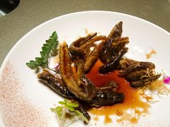 -天福苑(崇宁路店)