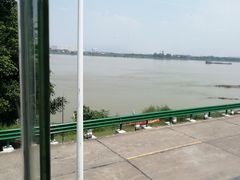 -八仔大富楼·河鲜(西江店)