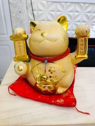 -Cocodemer女性健康·产后恢复(天一广场店)