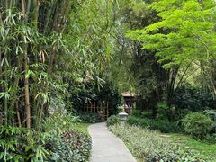 -广州兰圃