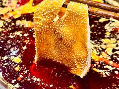脆毛肚.鸭肠.千层肚三拼-周小明火锅(黑金冠社区店)