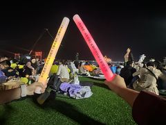 -泰达航母主题公园