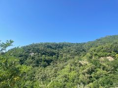 -北京鹫峰国家森林公园