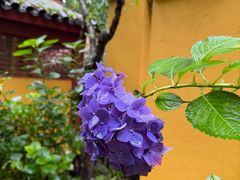 -太湖源风景区