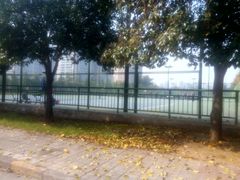 场馆-陕西省游泳跳水馆