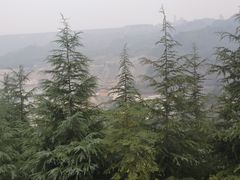 -黄河小浪底水利枢纽风景区