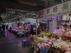 -花鸟鱼虫鲜花绿植市场(玉泉路店)