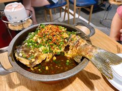 -聚鑫朋酸菜肥肠(文艺路口店)