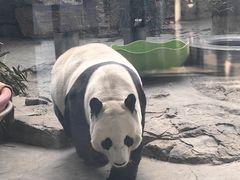 -石家庄市动物园