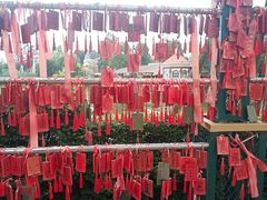 -国色天乡三期陆地乐园