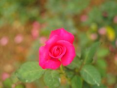 -人民公园(罗湖区)