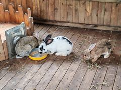 -HERRE·FARM 赫尔露营农场·团建聚会包场