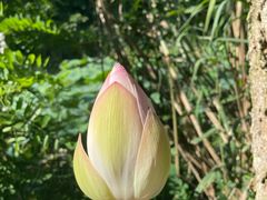 -云里小坐·小院里·团建·宴请·下午茶(三圣乡店)