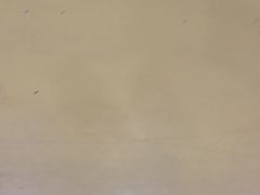 -一间森林酒店(上海人民广场店)