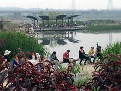 -永定河休闲森林公园