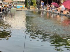 -DGE季风钓虾营地·团建·聚会