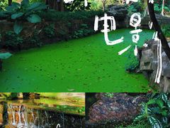 -广州市白云山风景名胜区