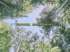 -南京市无想山景区