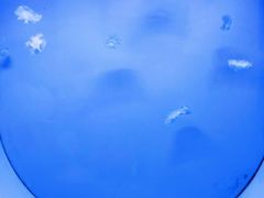 -常州海昌海洋探索馆
