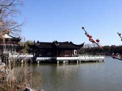 -上海海湾国家森林公园