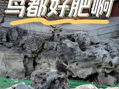 -月坛公园