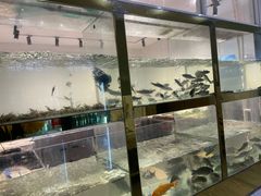 -小乡小镇·传承桐庐土菜·老板亲自烧的菜