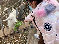 -大自然农场蔬菜草莓采摘园