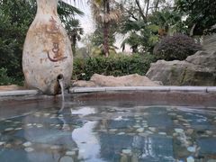 -金孔雀温泉旅游度假村