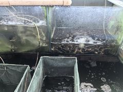 -恒盛海鲜餐厅