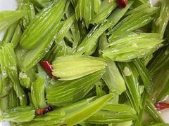 -晓雯人家