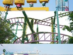 -巨鹏飞梦幻海岸