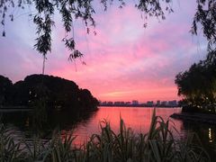 -南京东郊国宾馆