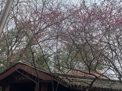 -杭州半山国家森林公园