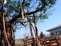 -华山御温泉度假村