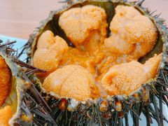 -海胆小馆(东北水饺·春柳店)