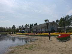 -杭州湾海上花田景区