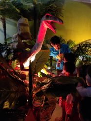 点击看大图 -恐龙探索乐园(磁器口店)