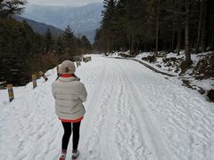 -硗碛藏寨·神木垒景区