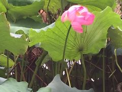 -浙江省博物馆(孤山馆区)