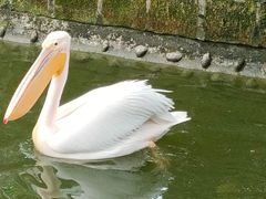 -成都动物园
