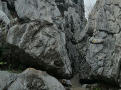 -千岛湖石林
