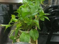 -RoMan罗马健身工作室(莘庄店)