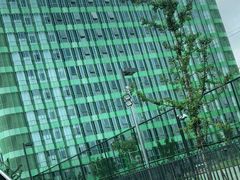 -杭州观成实验学校