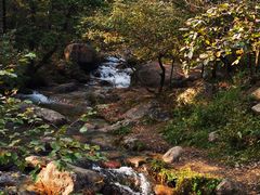 -玉渡山自然风景区