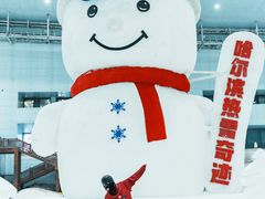 -哈尔滨热雪奇迹