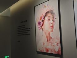 -大树儿童摄影
