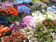 -双季花艺园艺市场(浦东店)